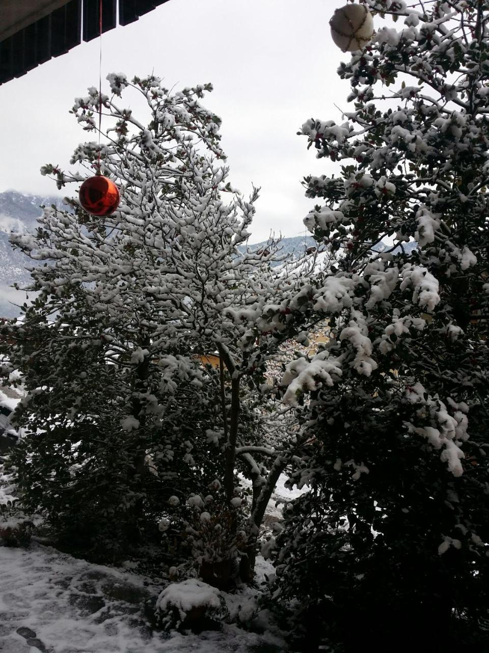 Albergo La Valle Daone Exteriér fotografie